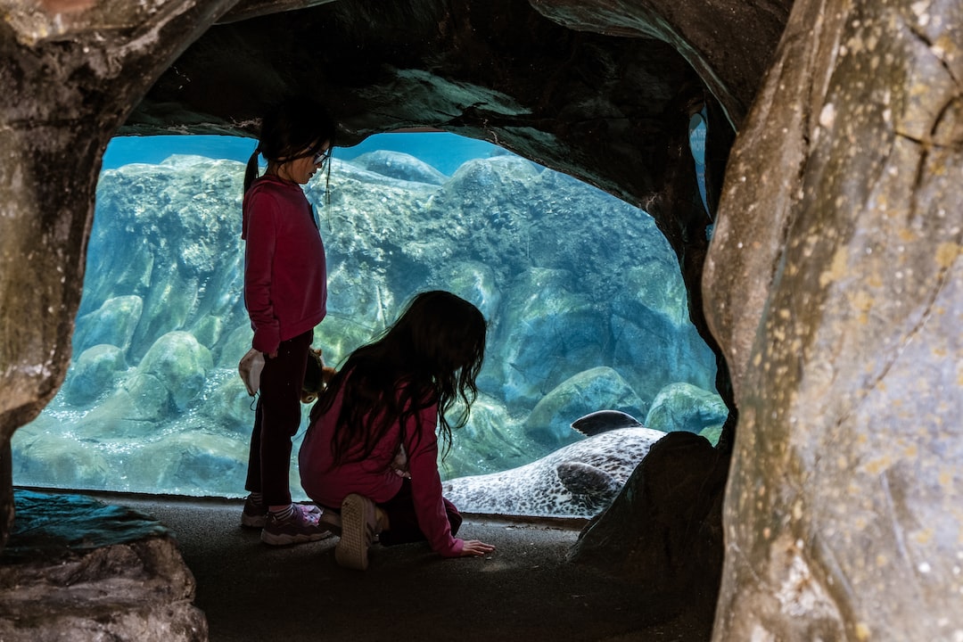 24 wichtige Fragen zu Skalar Aquarium